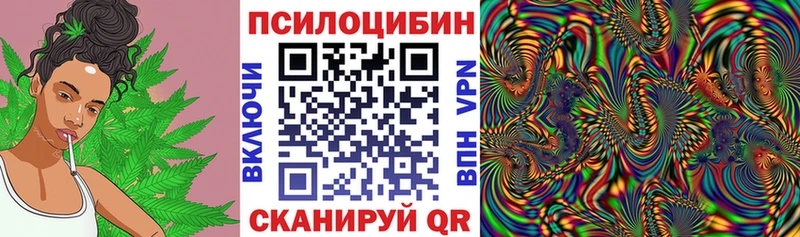 что такое наркотик  Пенза  Галлюциногенные грибы мухоморы 